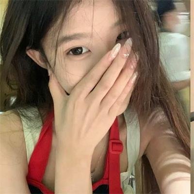 西部战线